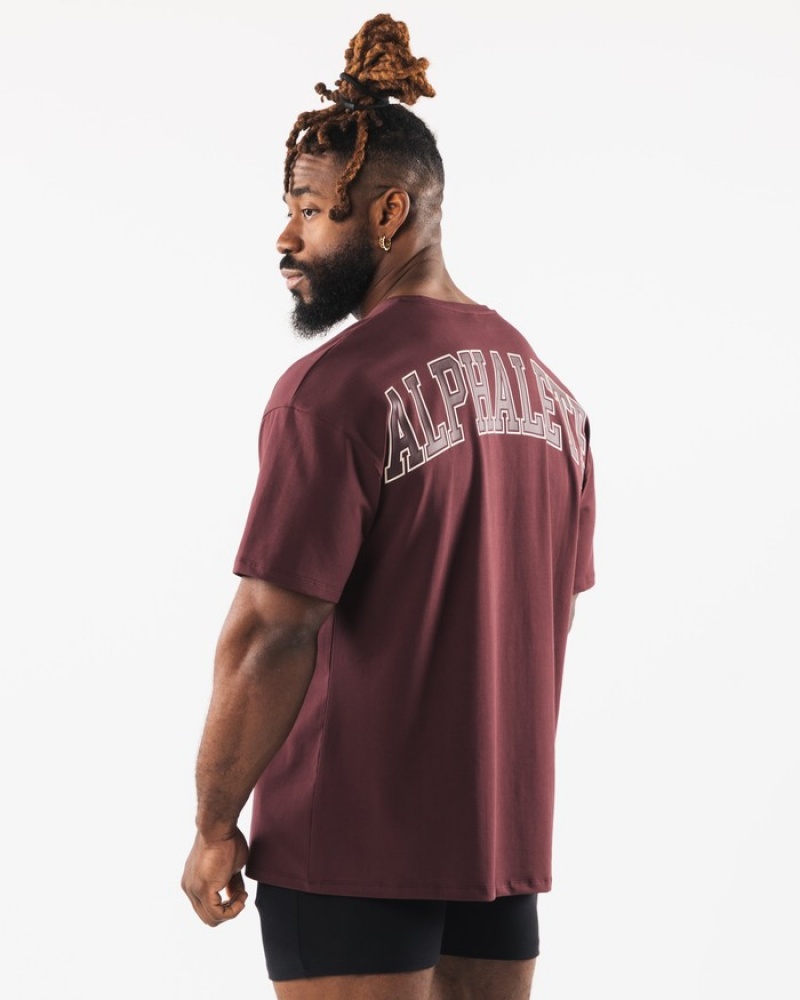 Alphalete Collegiate Overhemd Heren Bordeaux | 38RIQTESG