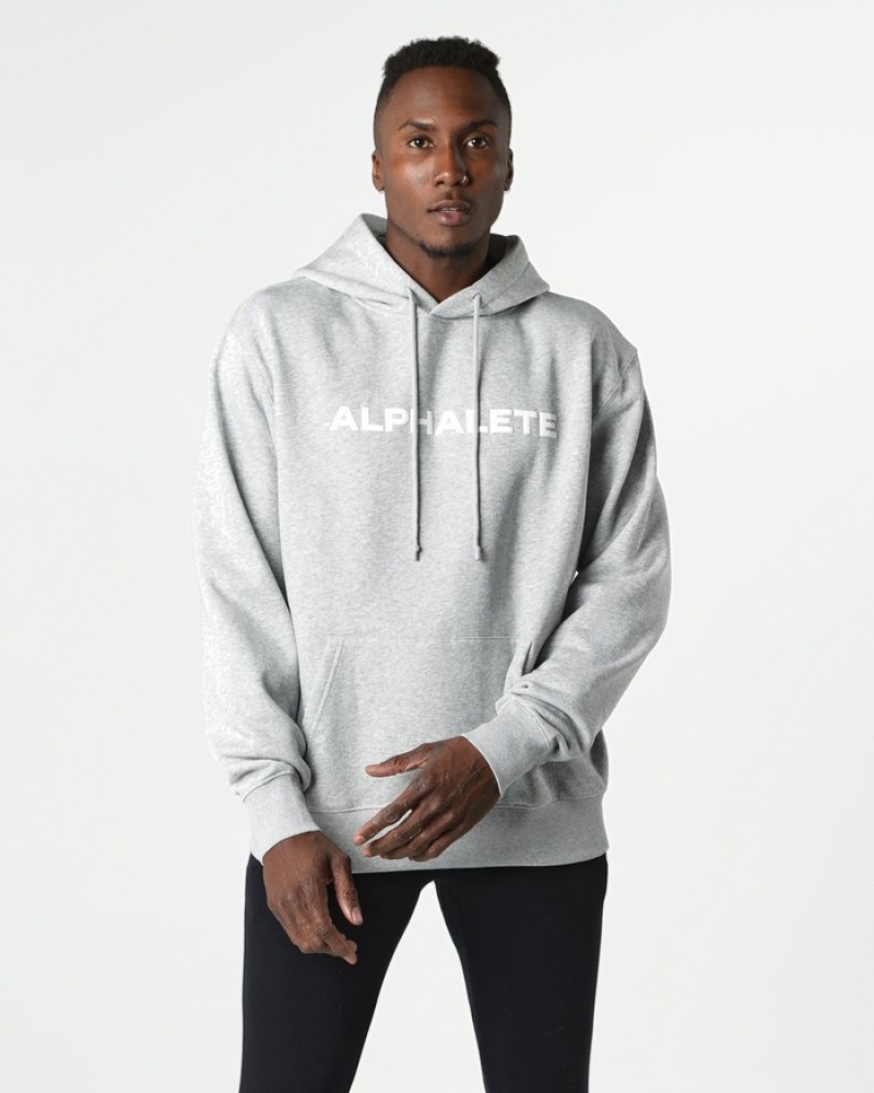 Alphalete Core Hoodie Heren Grijs | 03NVLJSDR