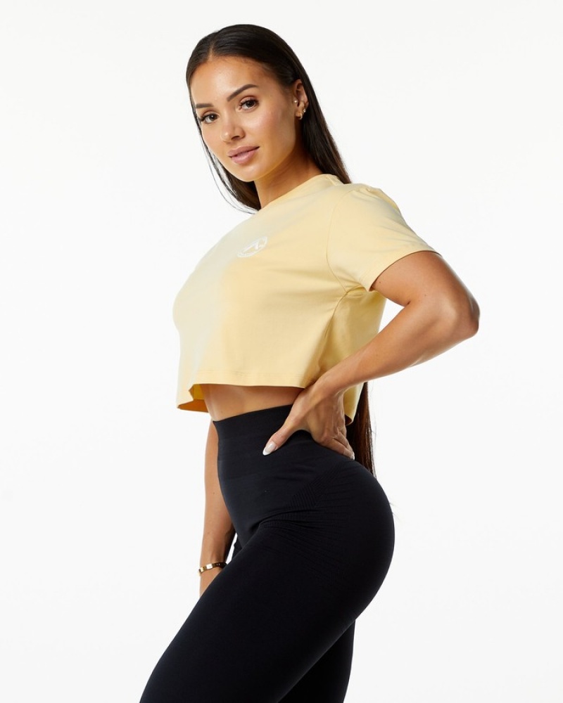 Alphalete Dynasty Crop Overhemd Dames Beige | 59VDWHNPA