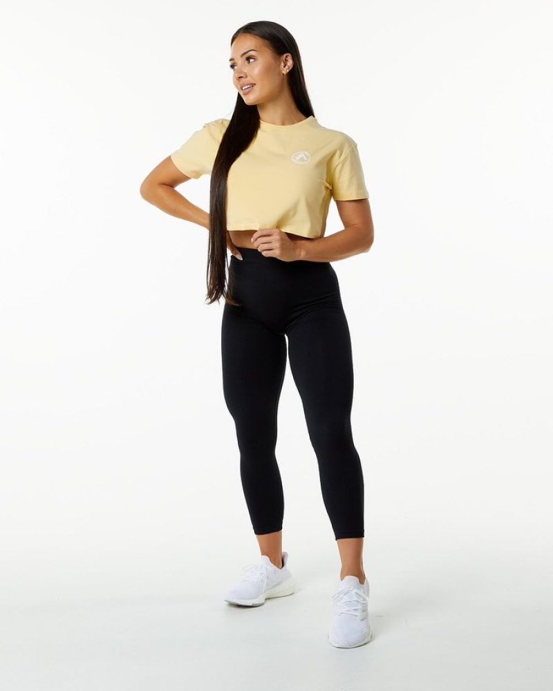 Alphalete Dynasty Crop Overhemd Dames Beige | 59VDWHNPA