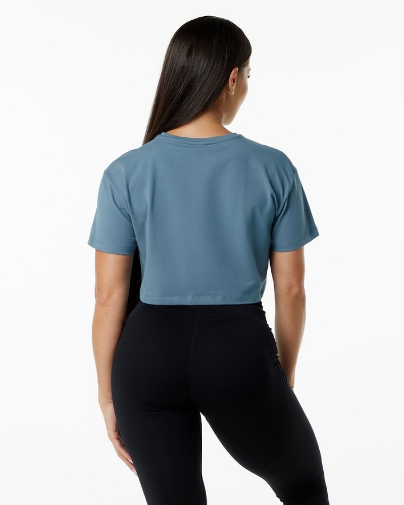 Alphalete Dynasty Crop Overhemd Dames Blauw | 36BAXPHED