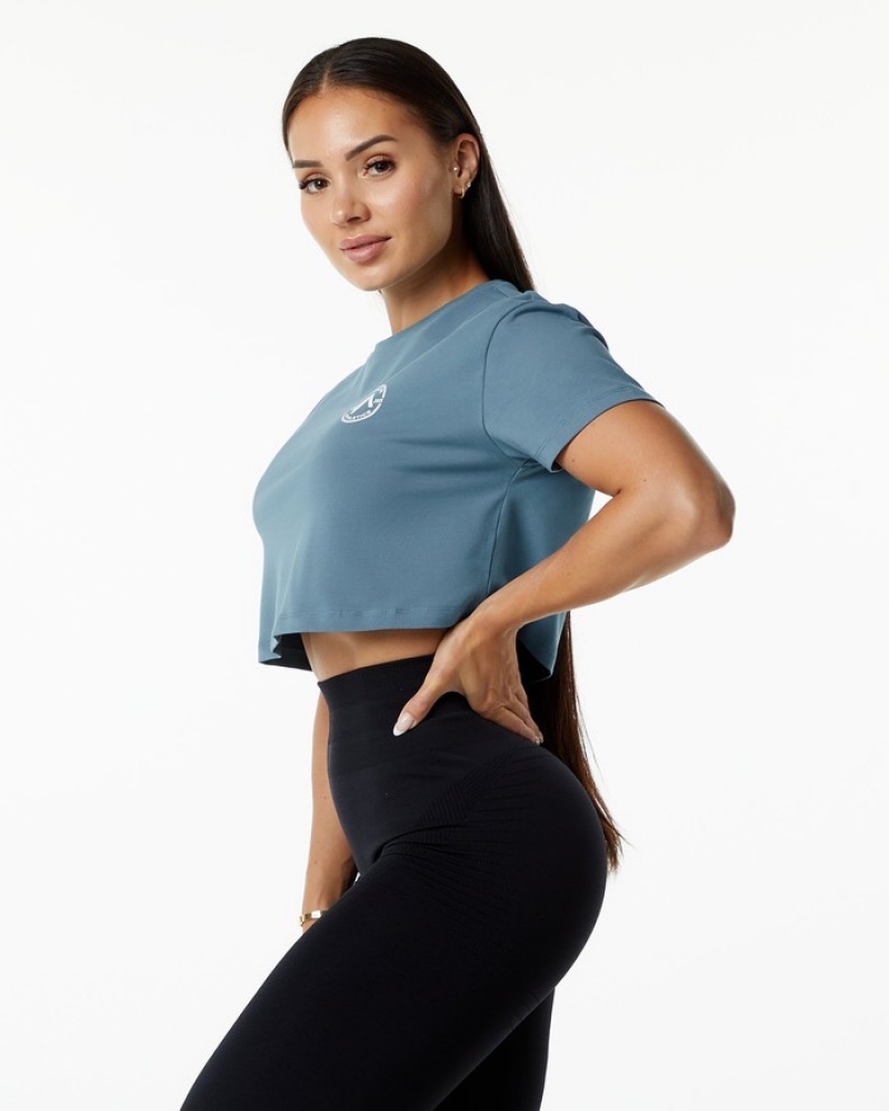 Alphalete Dynasty Crop Overhemd Dames Blauw | 36BAXPHED