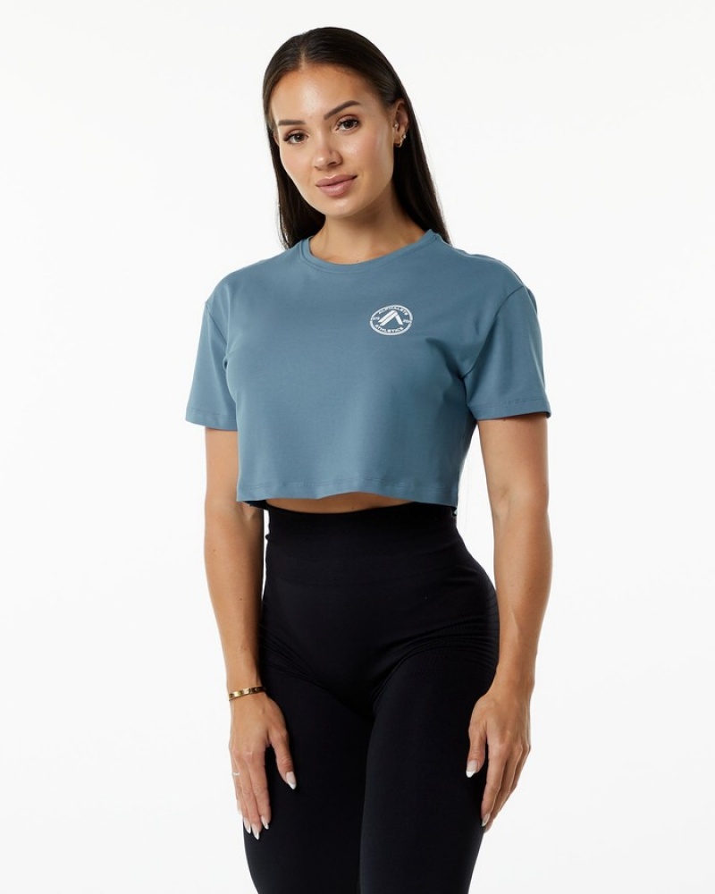 Alphalete Dynasty Crop Overhemd Dames Blauw | 36BAXPHED