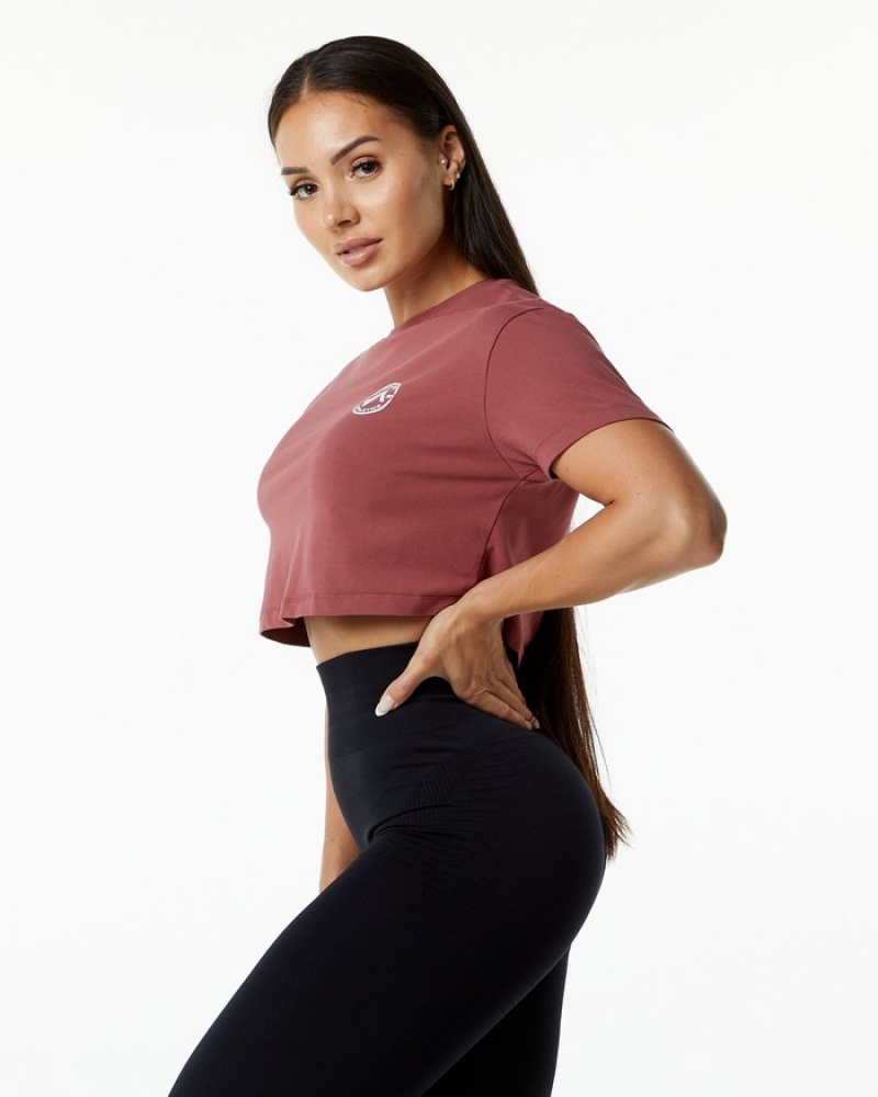 Alphalete Dynasty Crop Overhemd Dames Bordeaux | 40TUKLIGW