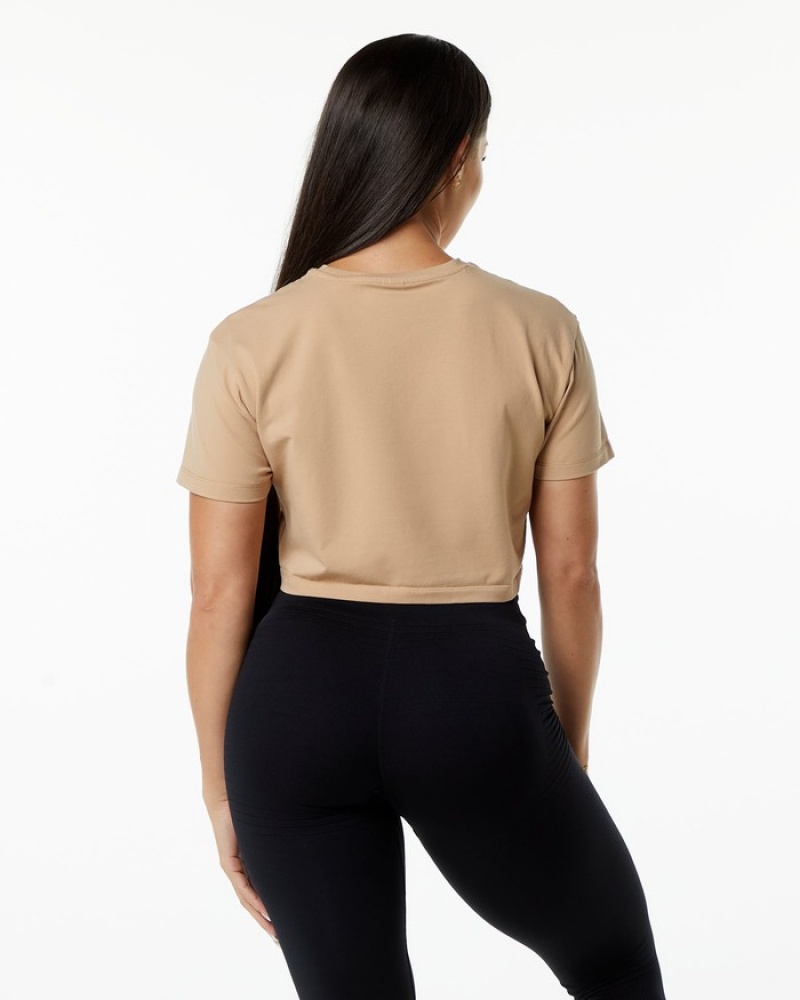 Alphalete Dynasty Crop Overhemd Dames Grijs Bruin | 29SOGDPNQ