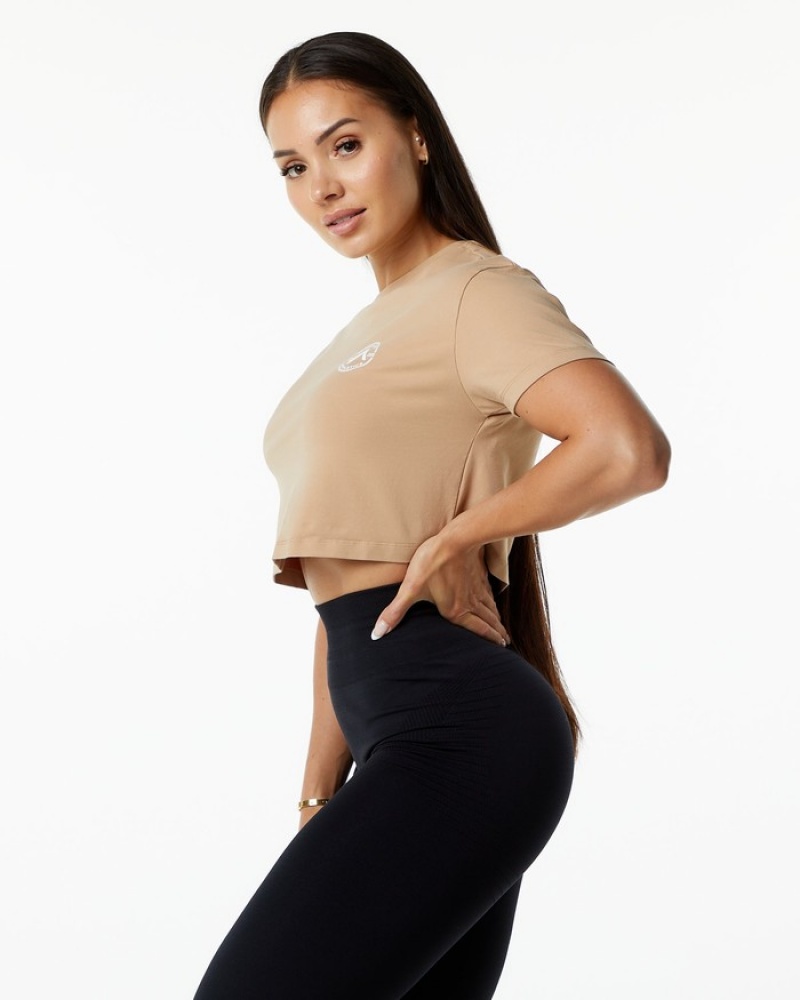 Alphalete Dynasty Crop Overhemd Dames Grijs Bruin | 29SOGDPNQ