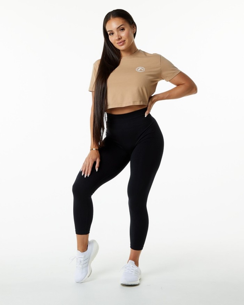 Alphalete Dynasty Crop Overhemd Dames Grijs Bruin | 29SOGDPNQ