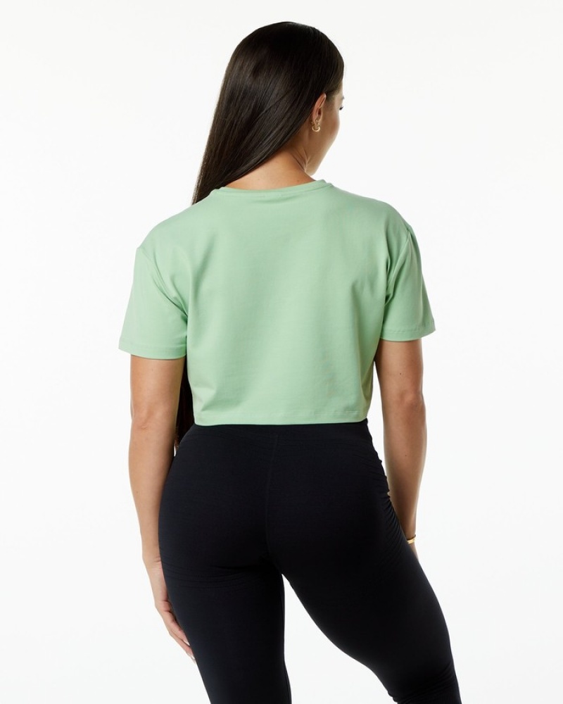 Alphalete Dynasty Crop Overhemd Dames Groen | 35QRFSLVO