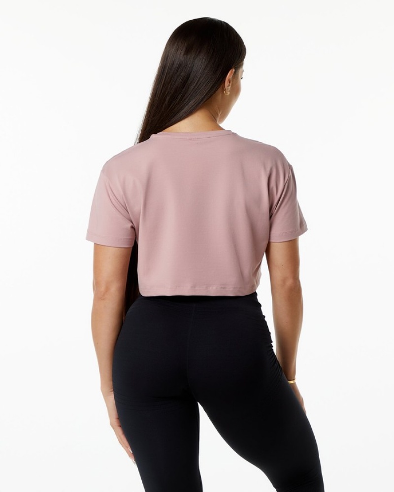 Alphalete Dynasty Crop Overhemd Dames Paars | 84XEJWDTO