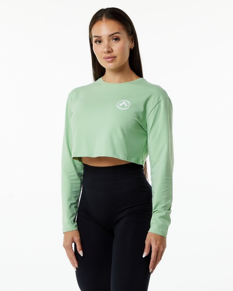 Alphalete Dynasty LS Crop T-shirts Dames Groen | 28EOQKIBS