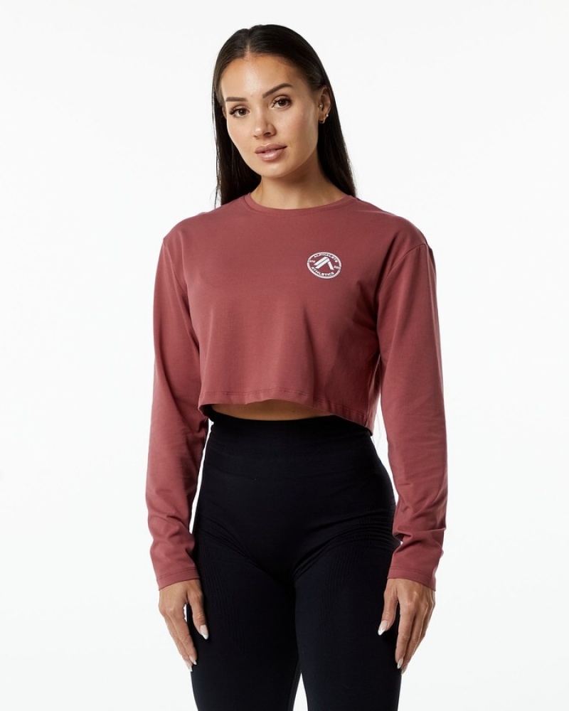 Alphalete Dynasty LS Crop T-shirts Dames Bordeaux | 69DXCFBSJ