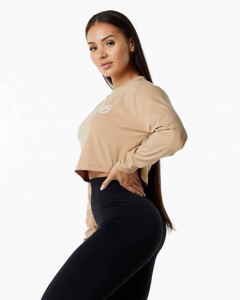 Alphalete Dynasty LS Crop T-shirts Dames Grijs Bruin | 69AOGBHWL