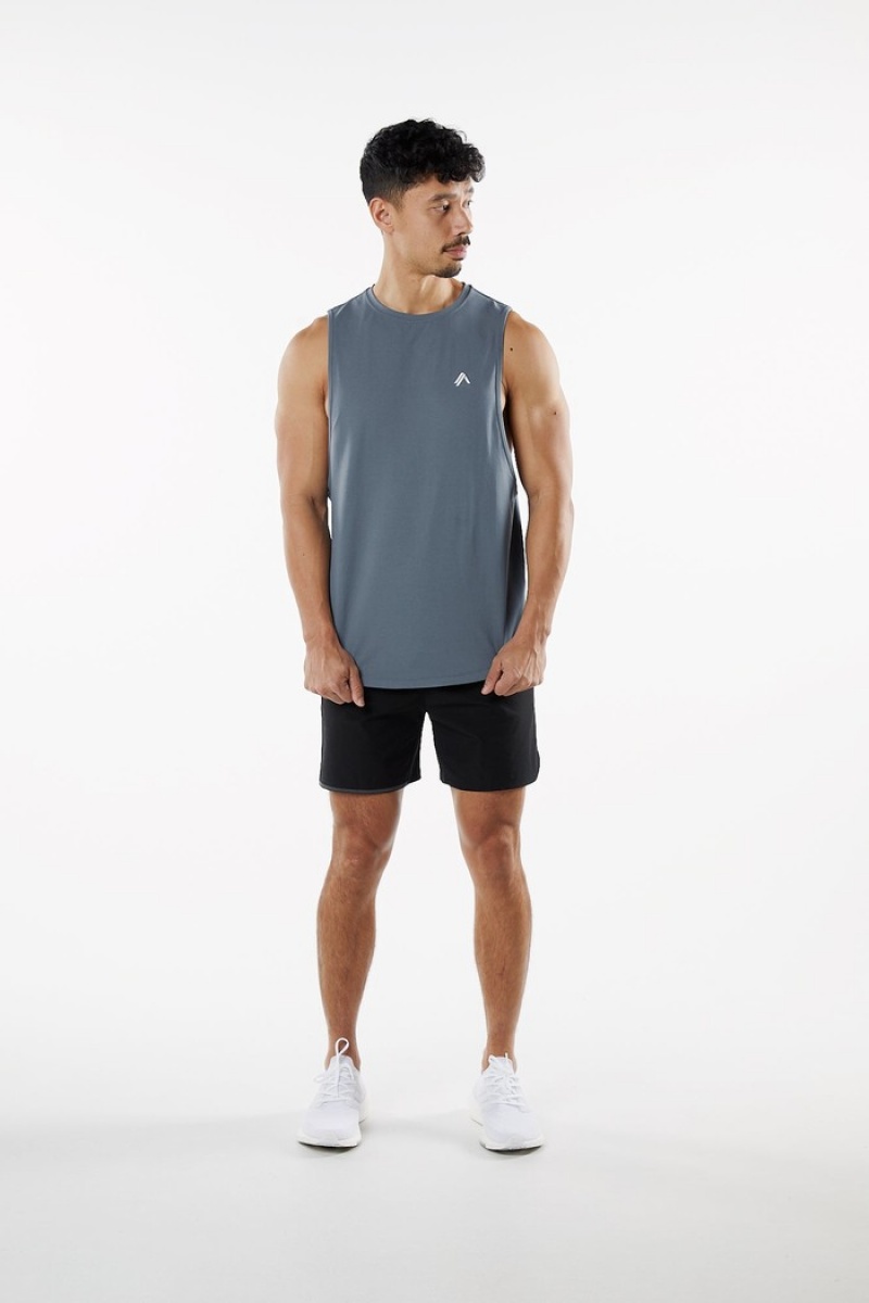 Alphalete Dynasty Tanktop Heren Donkergrijs | 16PHJSIFR