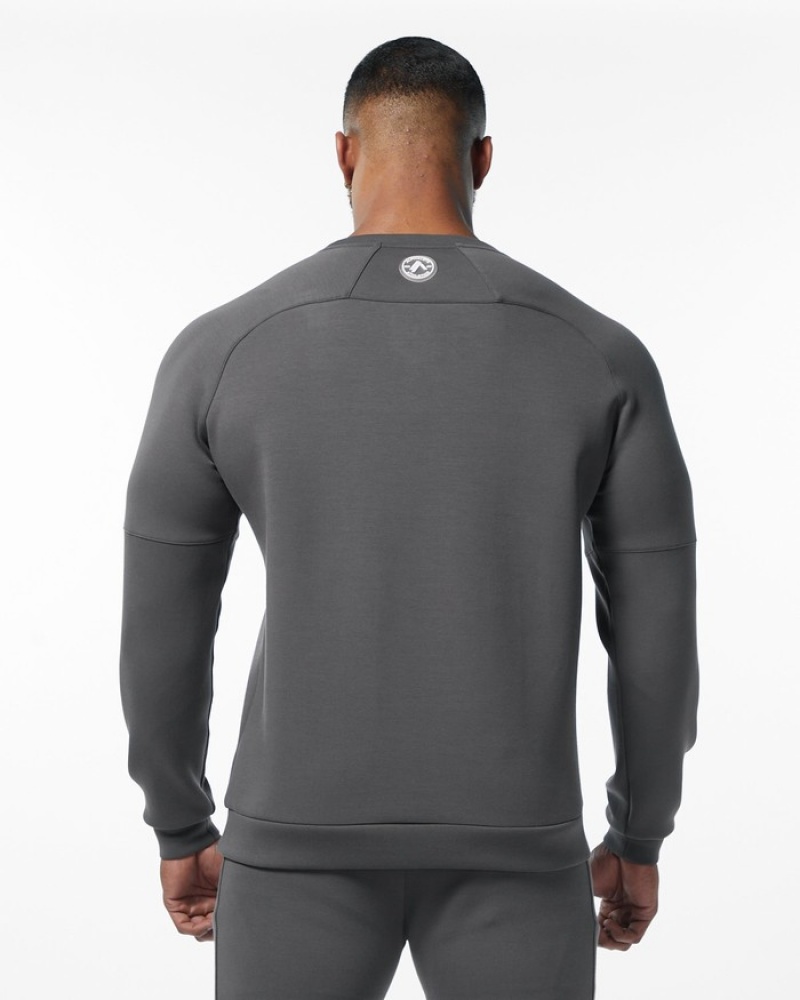 Alphalete ELMTS Crewneck Sweatshirt Heren Grijs | 50HISCABP