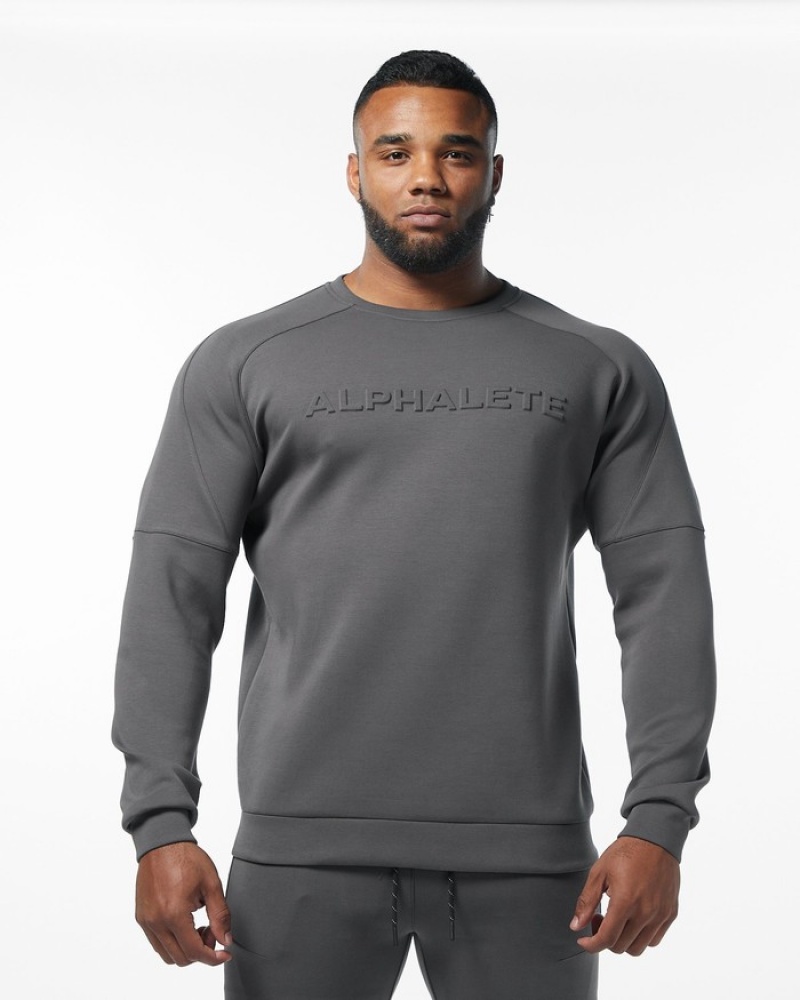 Alphalete ELMTS Crewneck Sweatshirt Heren Grijs | 50HISCABP