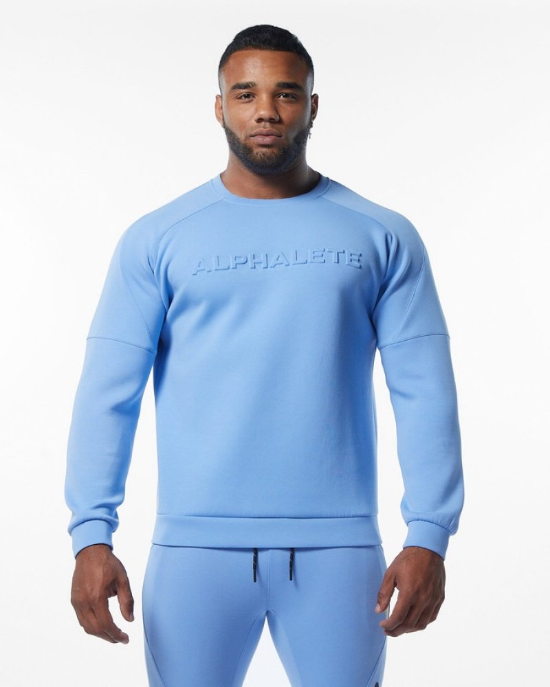 Alphalete ELMTS Crewneck Sweatshirt Heren Lichtblauw | 93WBIYAFE