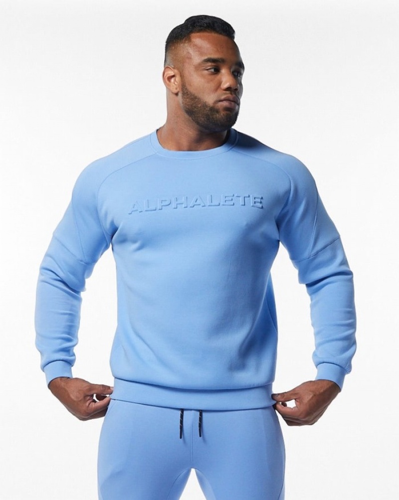 Alphalete ELMTS Crewneck Sweatshirt Heren Lichtblauw | 93WBIYAFE