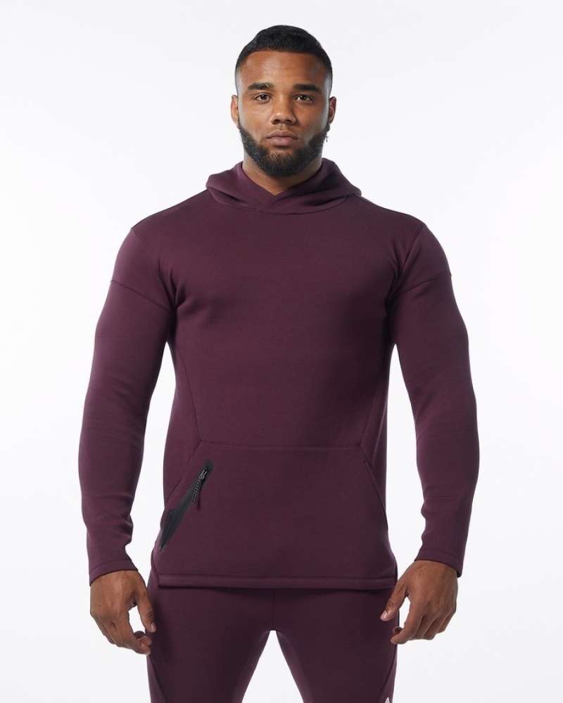 Alphalete ELMTS Fitted Hoodie Heren Bordeaux | 61DLYQTOF