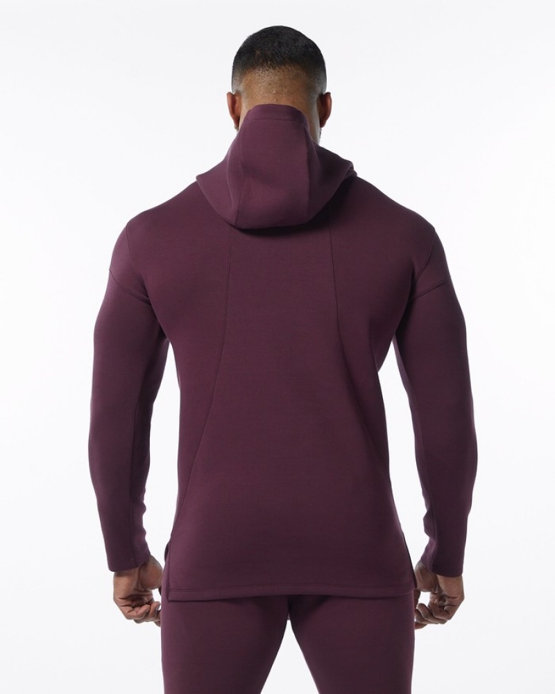 Alphalete ELMTS Fitted Hoodie Heren Bordeaux | 61DLYQTOF