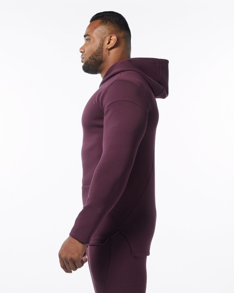 Alphalete ELMTS Fitted Hoodie Heren Bordeaux | 61DLYQTOF