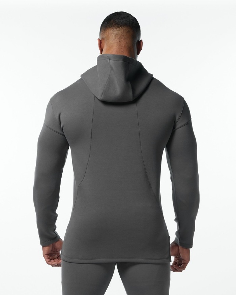 Alphalete ELMTS Fitted Hoodie Heren Grijs | 75LWVFDNY