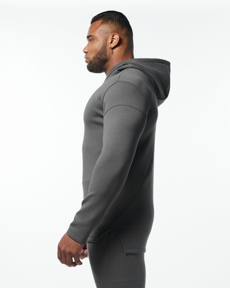 Alphalete ELMTS Fitted Hoodie Heren Grijs | 75LWVFDNY