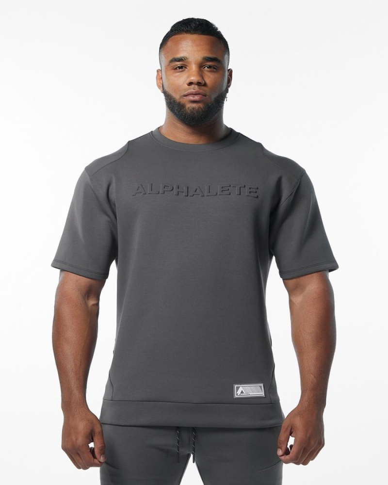 Alphalete ELMTS Half Sleeve Pullover Sweatshirt Heren Grijs | 57LBMGQTI