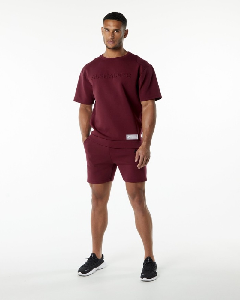 Alphalete ELMTS Half Sleeve Pullover Sweatshirt Heren Bordeaux | 93ICZBUXH