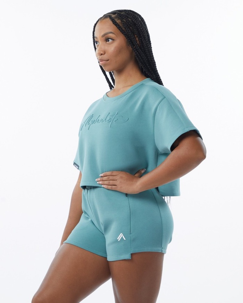 Alphalete ELMTS Half Sleeve Pullover Sweatshirt Dames Turquoise | 34CENQLRJ