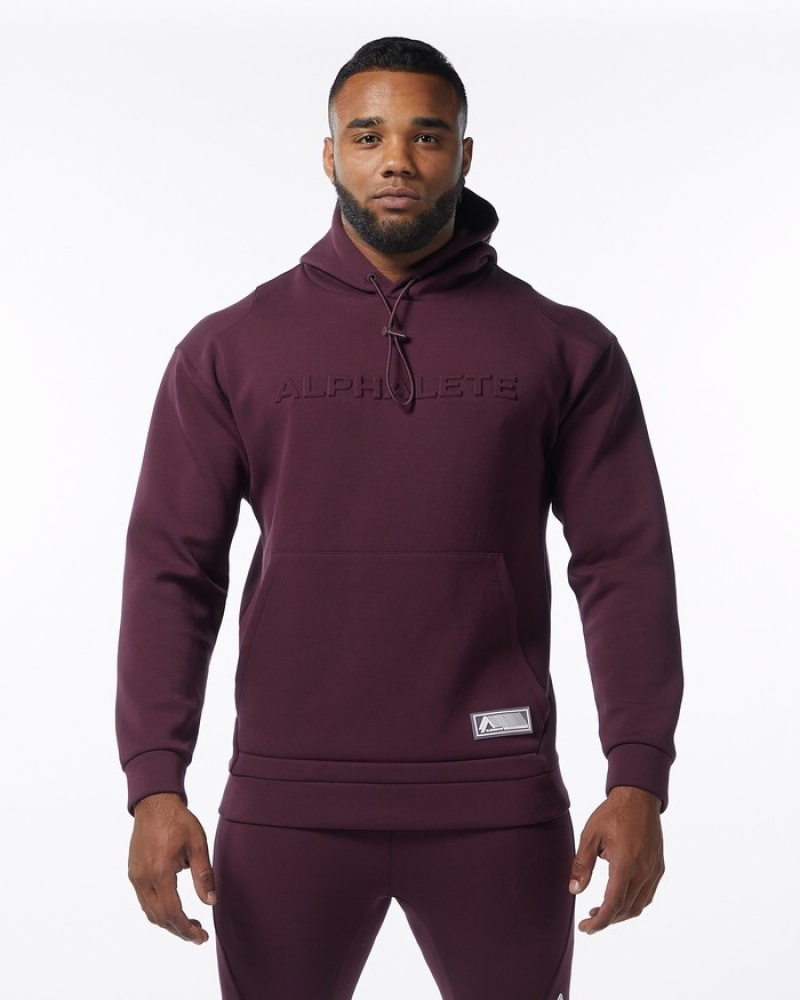 Alphalete ELMTS Hoodie Heren Bordeaux | 04PDJNXRB