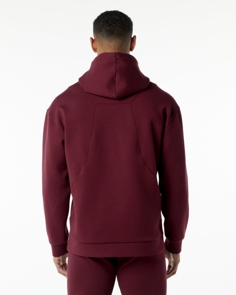 Alphalete ELMTS Hoodie Heren Bordeaux | 30WRXHGZC