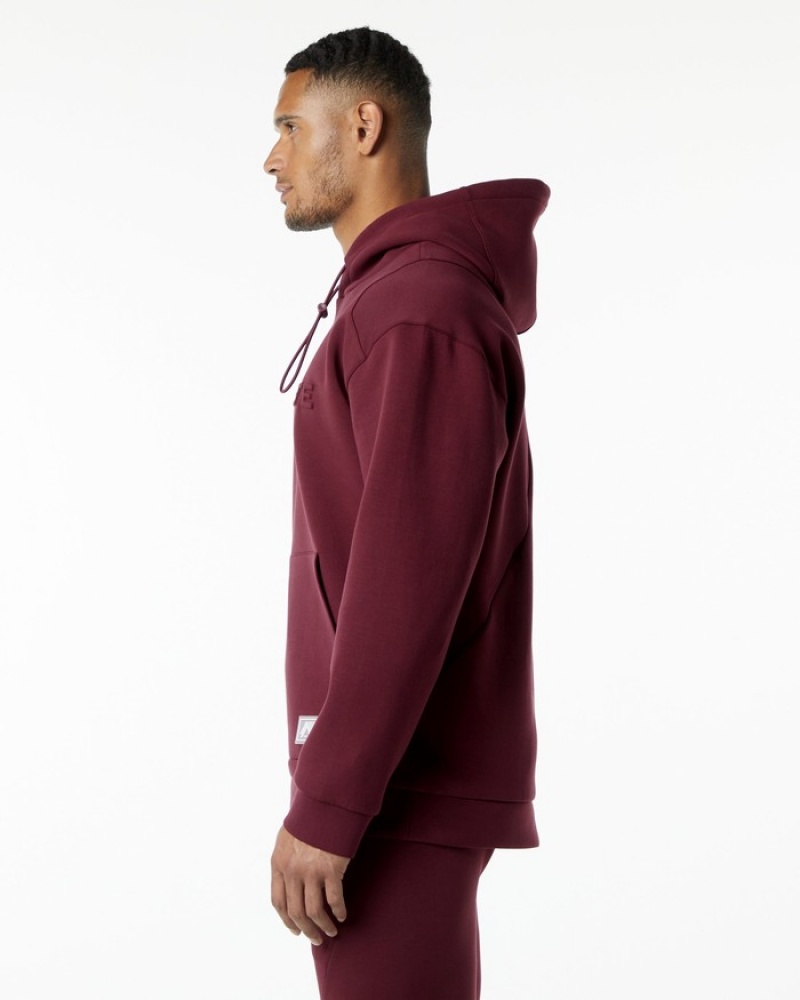 Alphalete ELMTS Hoodie Heren Bordeaux | 30WRXHGZC