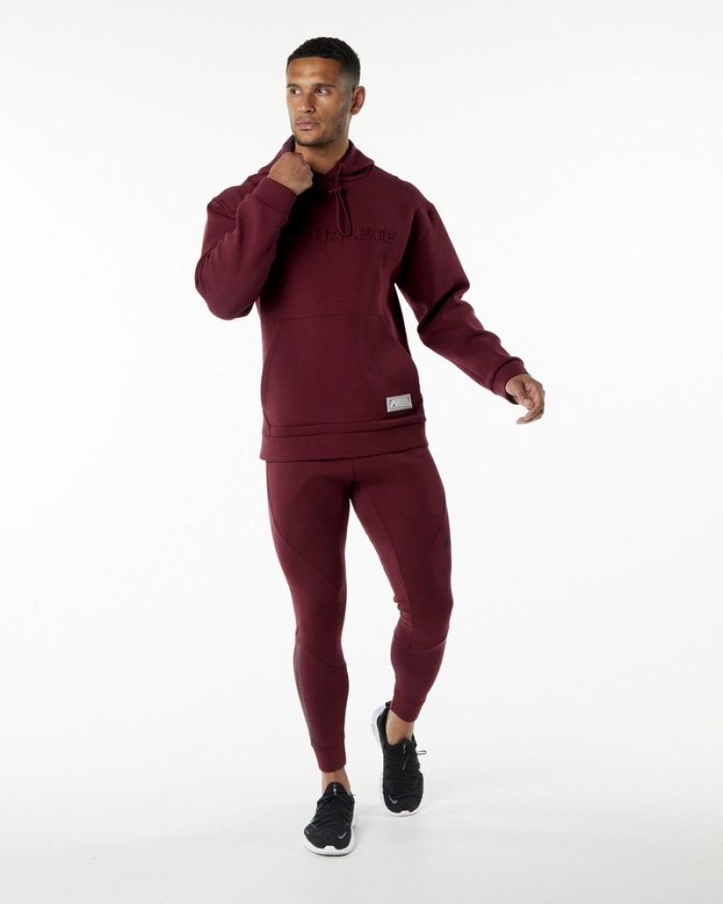 Alphalete ELMTS Hoodie Heren Bordeaux | 30WRXHGZC