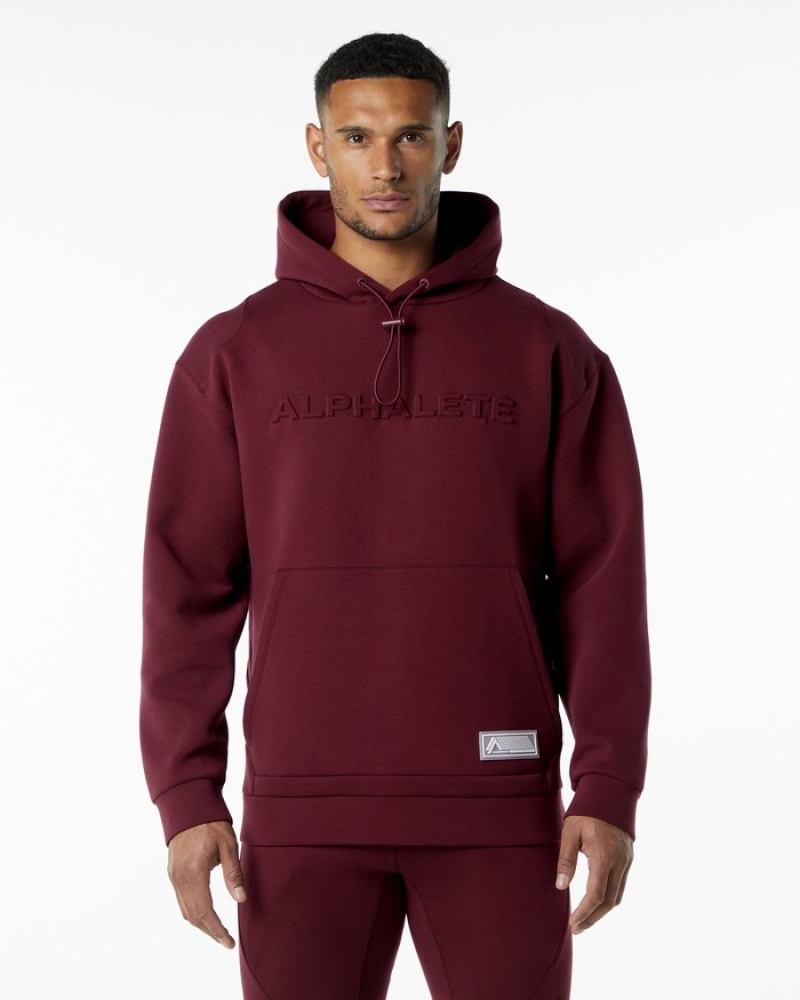 Alphalete ELMTS Hoodie Heren Bordeaux | 30WRXHGZC