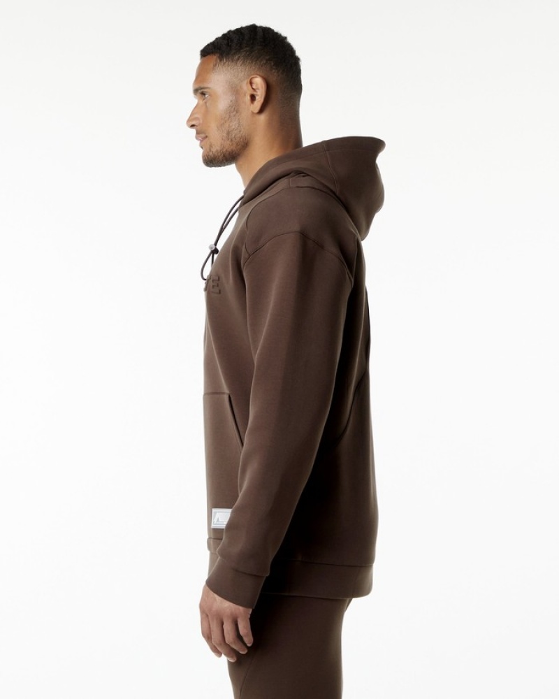 Alphalete ELMTS Hoodie Heren Bruin | 40GUOBEIK