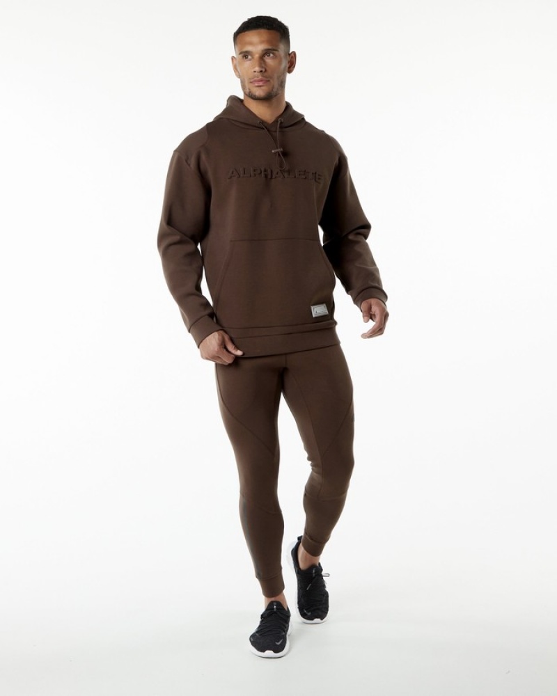 Alphalete ELMTS Hoodie Heren Bruin | 40GUOBEIK