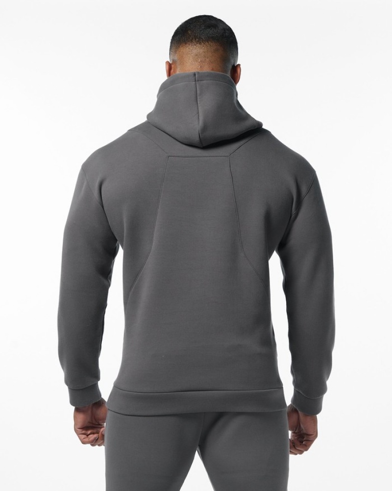 Alphalete ELMTS Hoodie Heren Grijs | 08KETBXSM