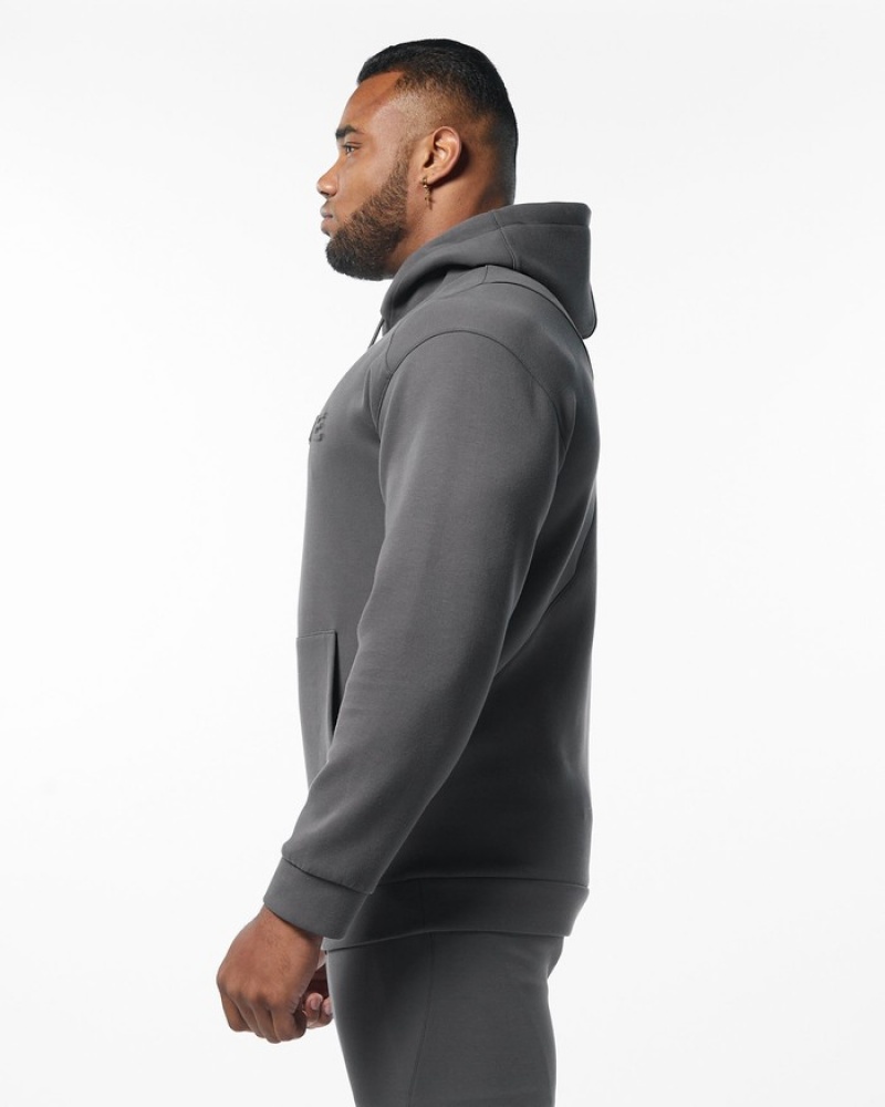 Alphalete ELMTS Hoodie Heren Grijs | 08KETBXSM