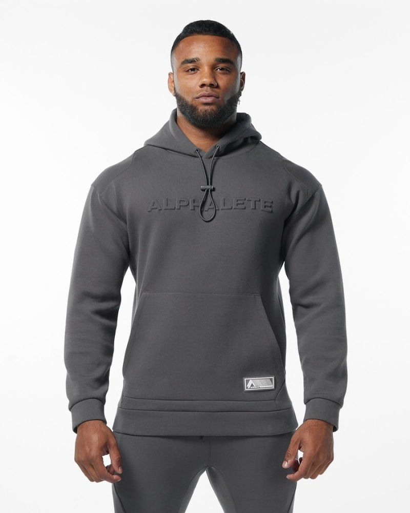 Alphalete ELMTS Hoodie Heren Grijs | 08KETBXSM