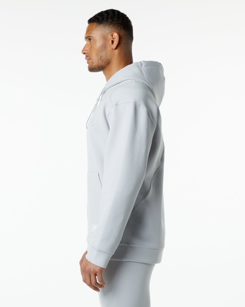 Alphalete ELMTS Hoodie Heren Grijs | 27PGFYCEB