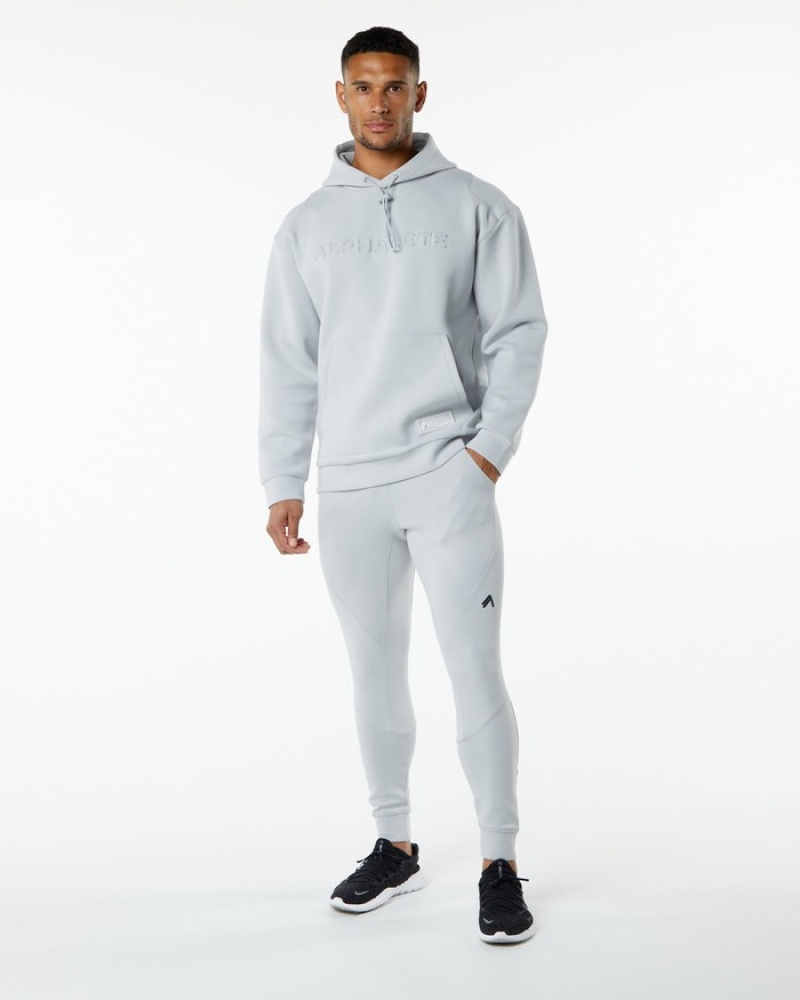 Alphalete ELMTS Hoodie Heren Grijs | 27PGFYCEB