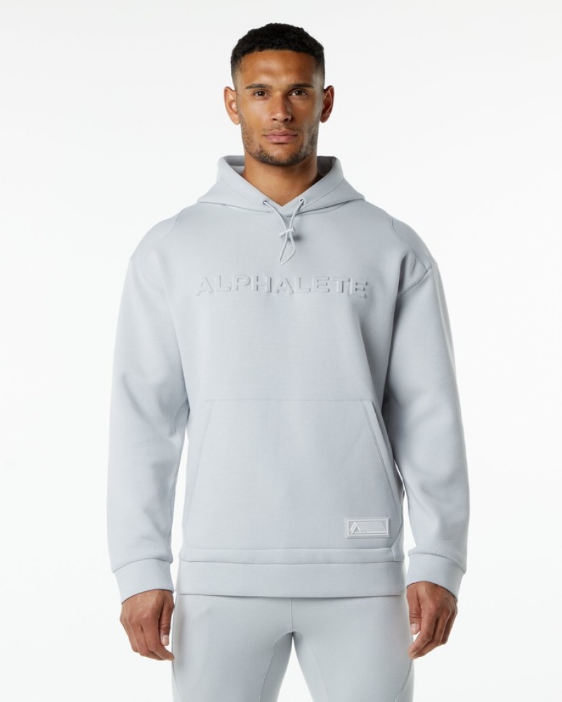 Alphalete ELMTS Hoodie Heren Grijs | 27PGFYCEB