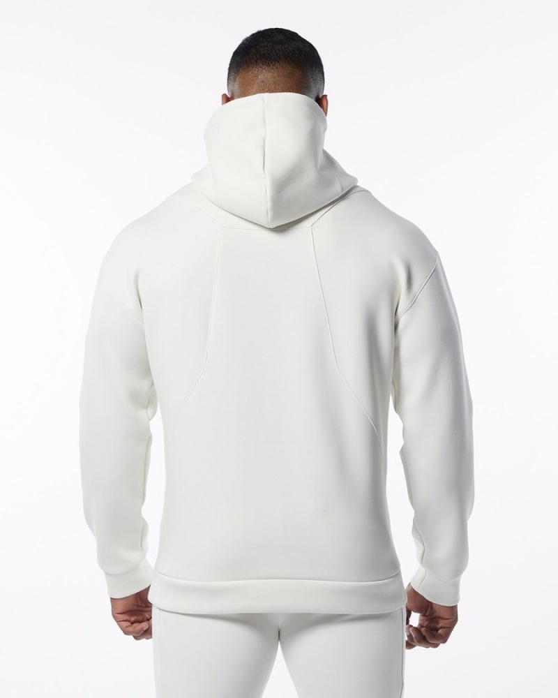 Alphalete ELMTS Hoodie Heren Room | 13HJFXWNQ