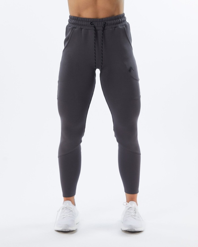 Alphalete ELMTS Zip Joggingbroeken Dames Grijs | 17ASZPKUX