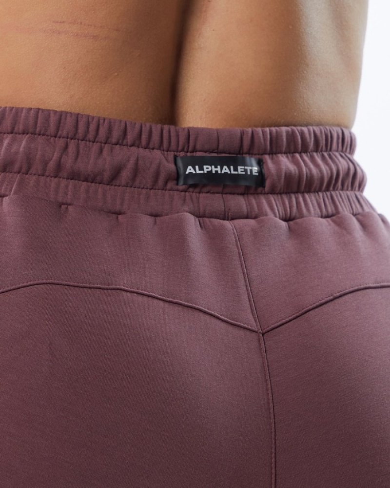 Alphalete ELMTS Zip Joggingbroeken Dames Paars | 56NIGADKX