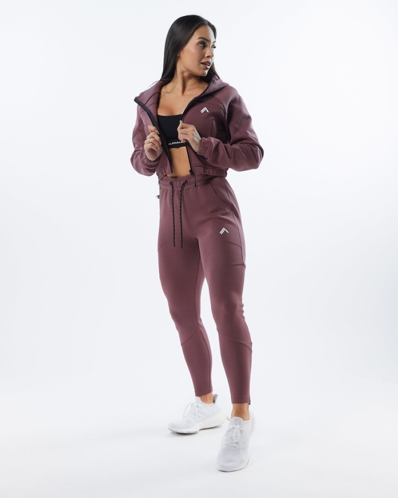 Alphalete ELMTS Zip Joggingbroeken Dames Paars | 56NIGADKX