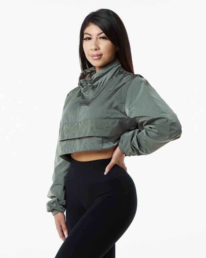 Alphalete Endure Crop Jassen Dames Grijs | 52ISLTXEB