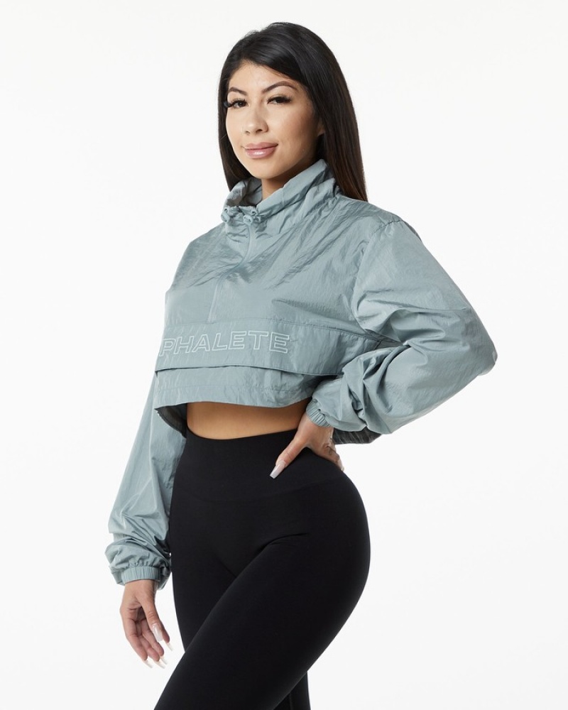 Alphalete Endure Crop Jassen Dames Grijs Blauw | 09ZANIXLJ