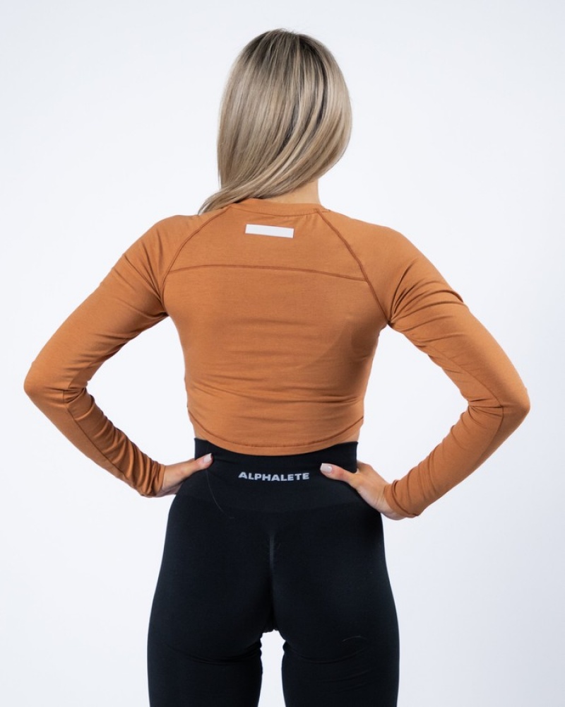 Alphalete Evo Long Sleeve Crop T-shirts Dames Bruin | 36EPJYBNX