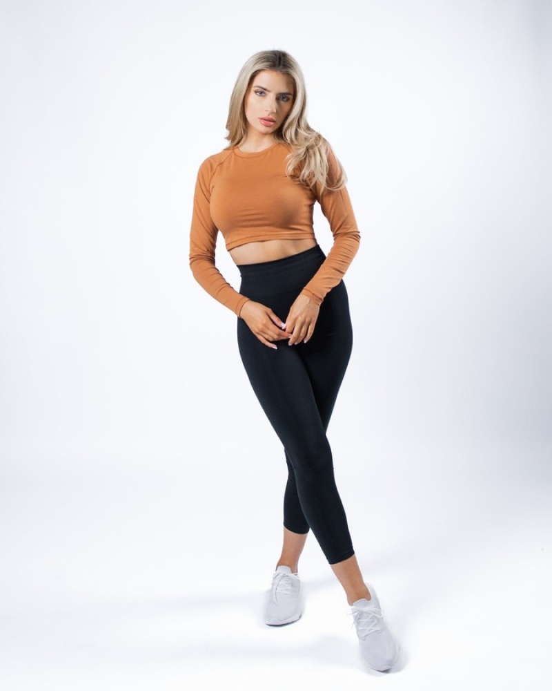 Alphalete Evo Long Sleeve Crop T-shirts Dames Bruin | 36EPJYBNX